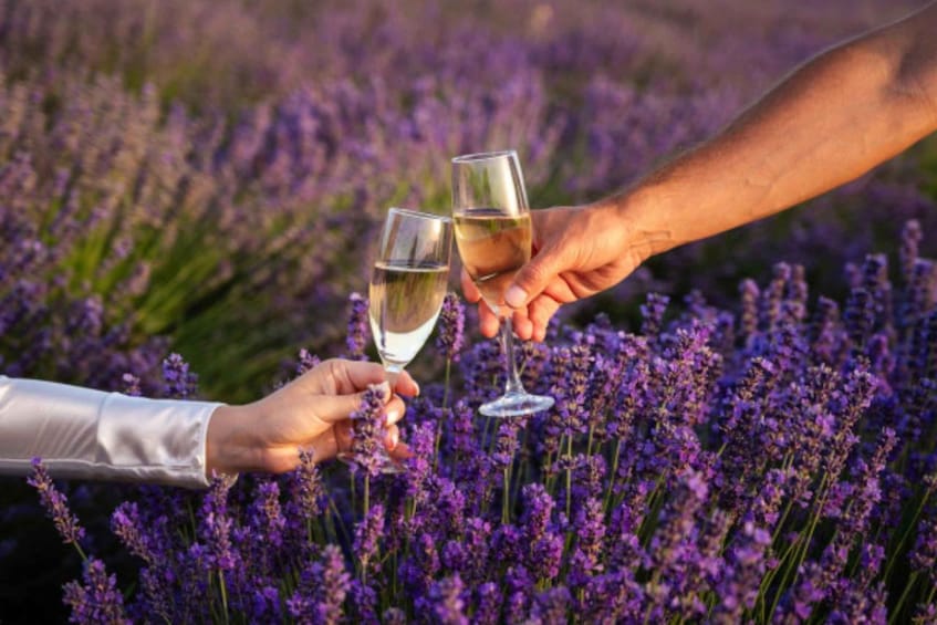 Two hands holding wine glasses against a backdrop of lavender fields. 2