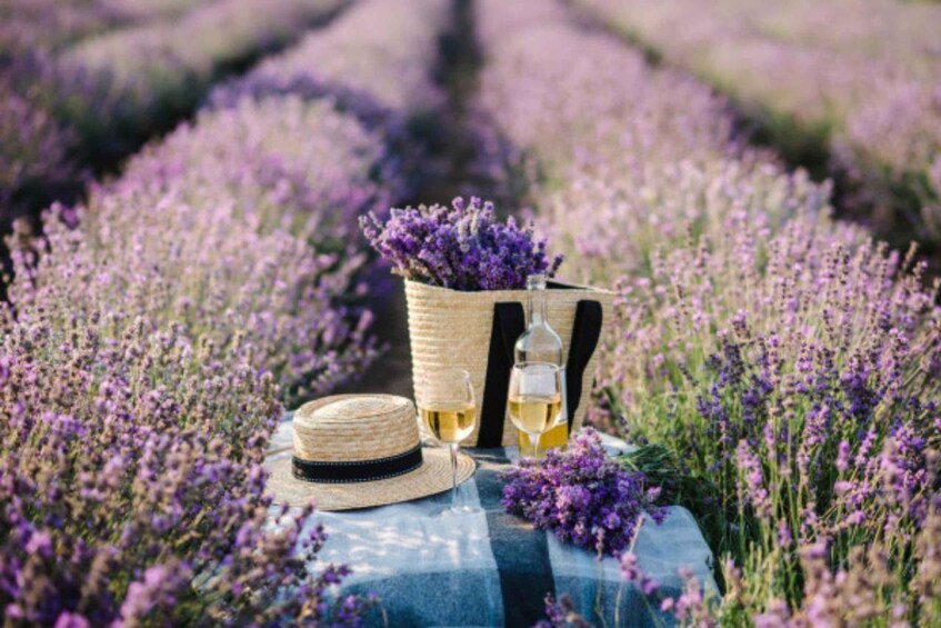 A picnic setup with a basket of lavender, a bottle of white wine, a glass of wine, and a straw hat in a lavender field. 1