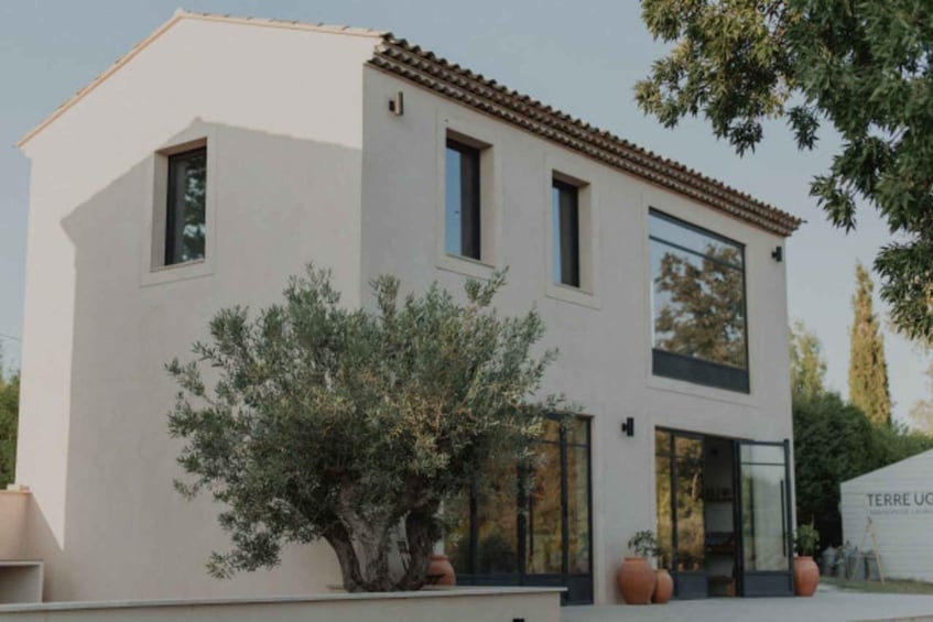 A modern two-story building with a tiled roof, large windows, and a potted tree in the foreground. 5