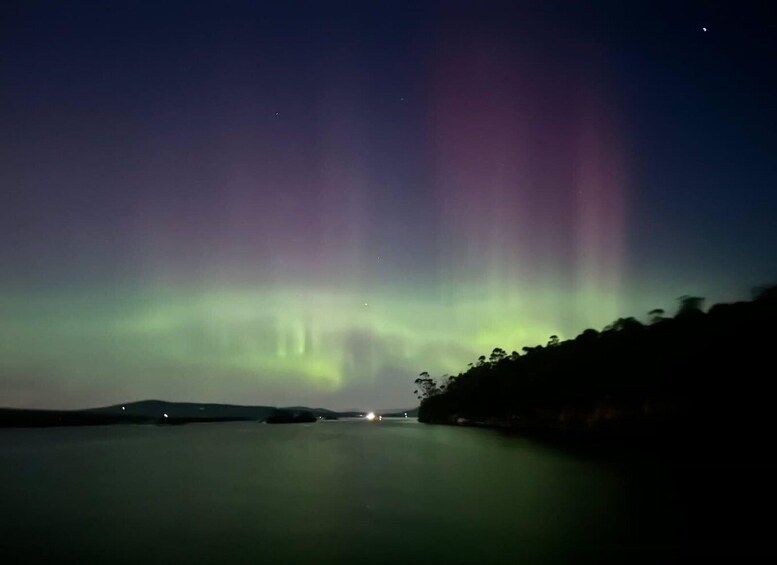 The Northern Lights over a calm body of water with a silhouette of trees on the right. 3