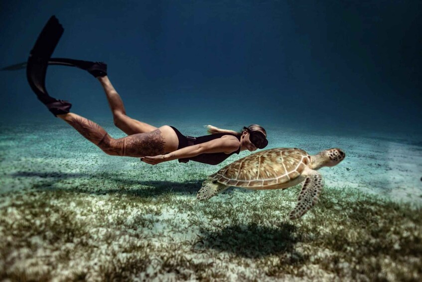 A diver swimming with a sea turtle underwater. 2