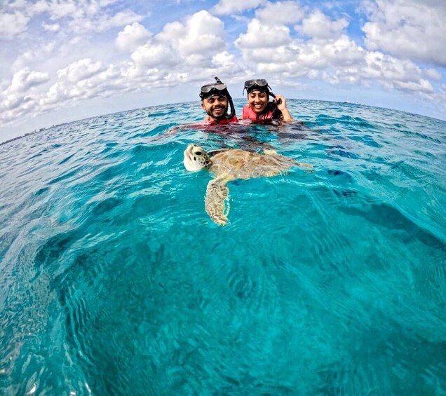 Two people snorkeling with a sea turtle in clear blue water. 1