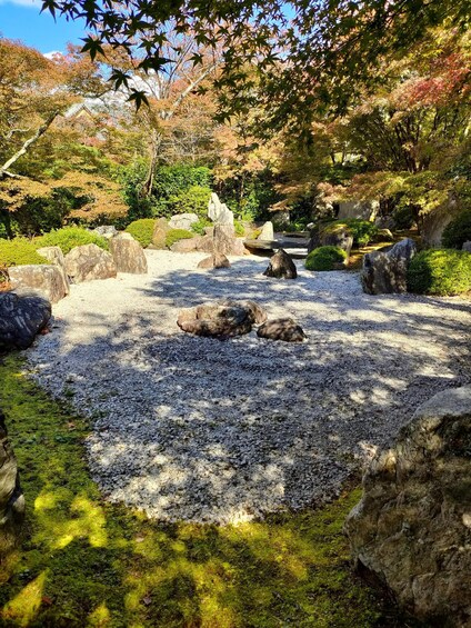 A traditional Japanese garden with gravel paths, rocks, moss, and trees. 4