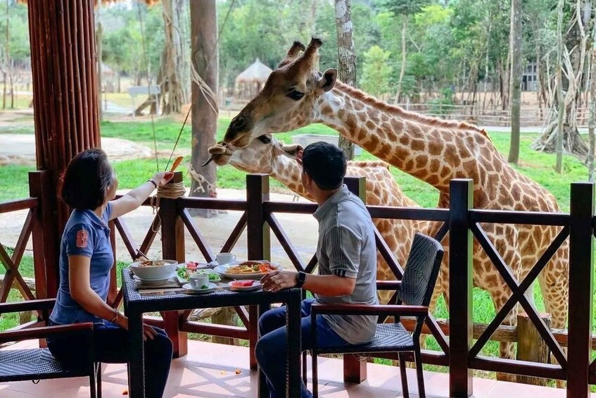 Two people dining at an outdoor table with giraffes approaching. 1
