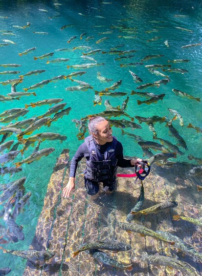 A person in a wetsuit holding a snorkel and fins, surrounded by a large school of fish in clear blue water. 2