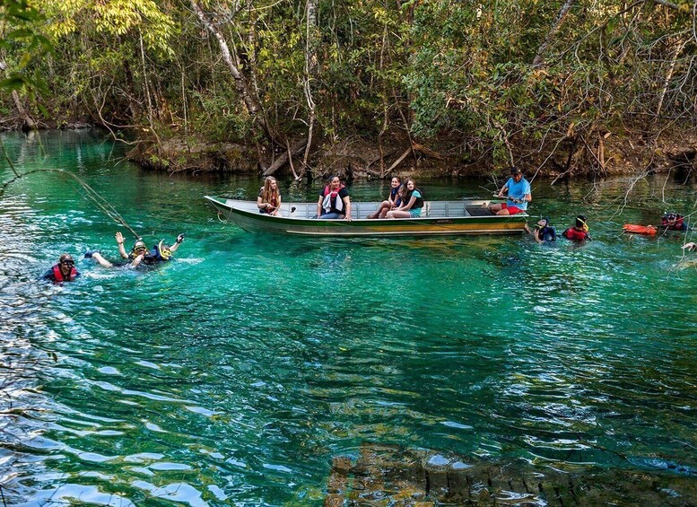A group of people in a boat on a clear river surrounded by dense foliage. 3