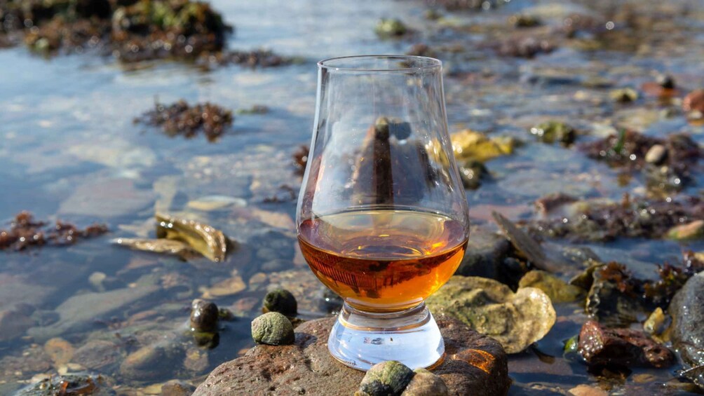 A glass of amber liquid on a rock by a body of water with clear water and seaweed. 2