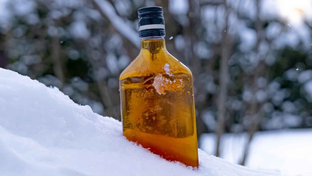 A bottle of amber liquid partially buried in snow with a blurred background of trees. 3
