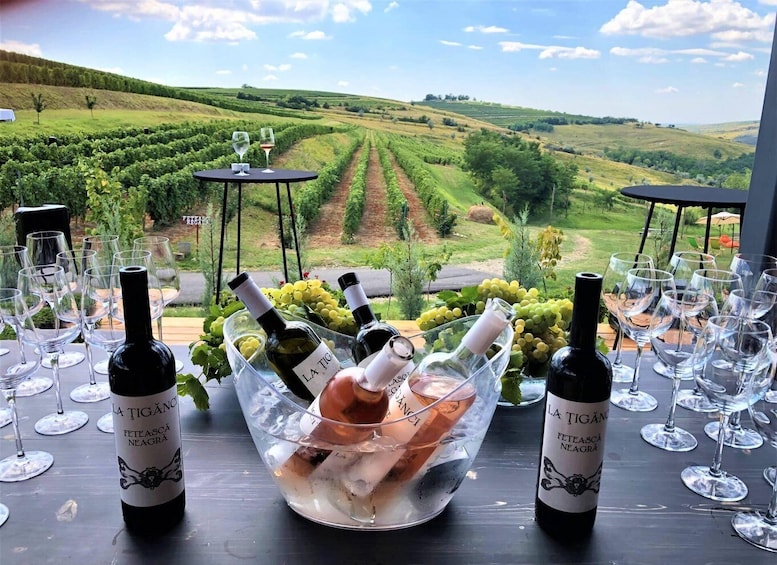 A vineyard with rows of grapevines, a table with wine glasses and bottles, and a clear sky. 2