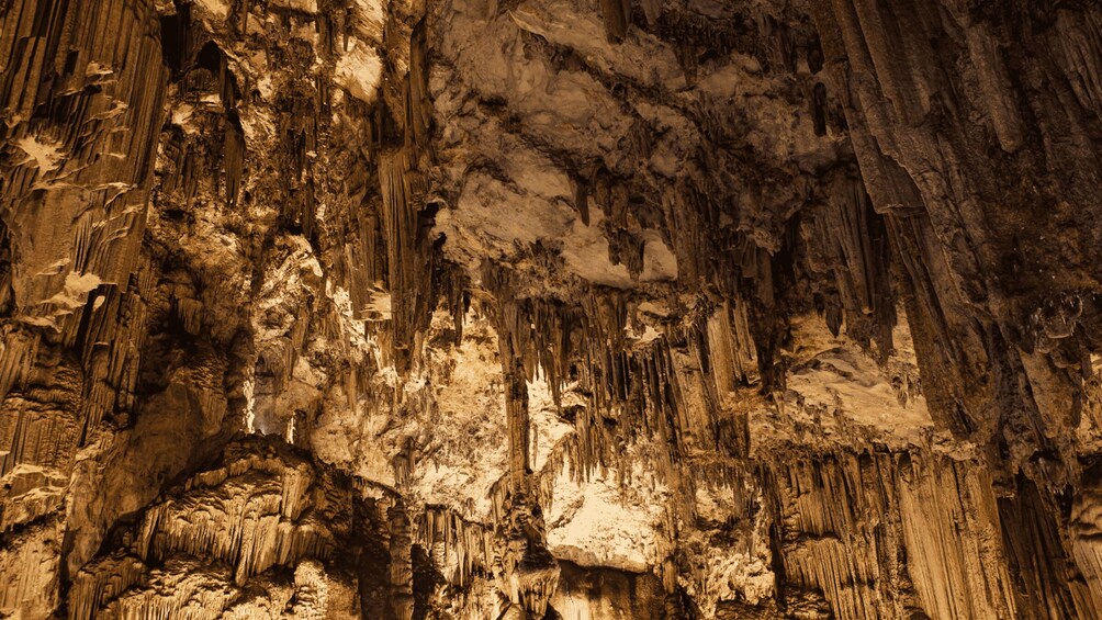 A cave with stalactites and stalagmites. 1