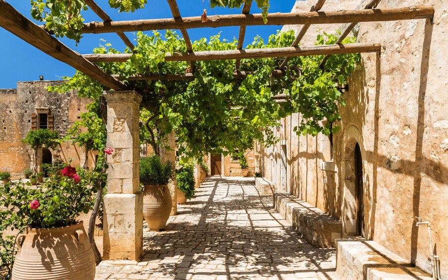 A cobblestone street with a pergola covered in grapevines, stone walls, and potted plants. 4