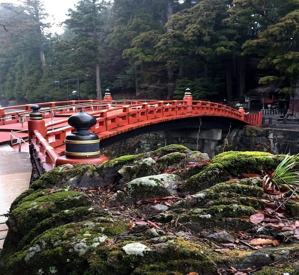 A red bridge over a stone pathway surrounded by moss-covered rocks and dense forest. 4