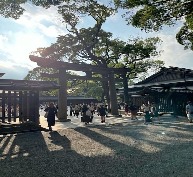A traditional Japanese torii gate, a stone lantern, and a pagoda in a park with visitors. 1