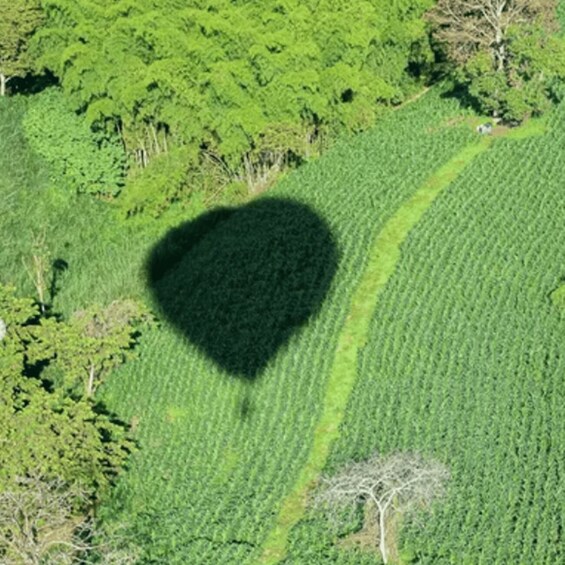 A heart-shaped shadow on a green field with trees and a clear sky. 2