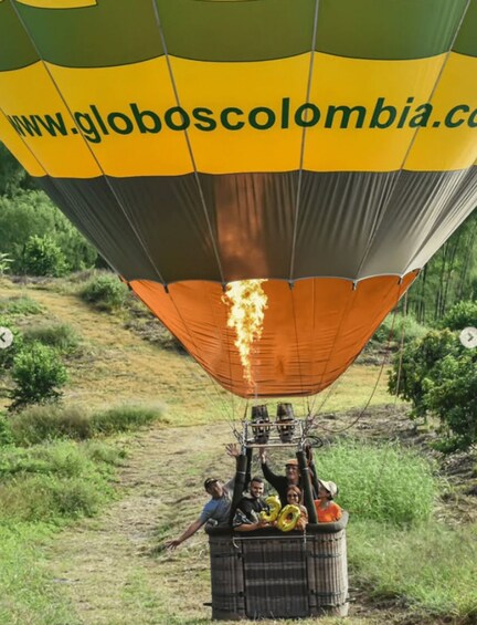 A hot air balloon with a website URL, passengers, and a grassy landscape. 5