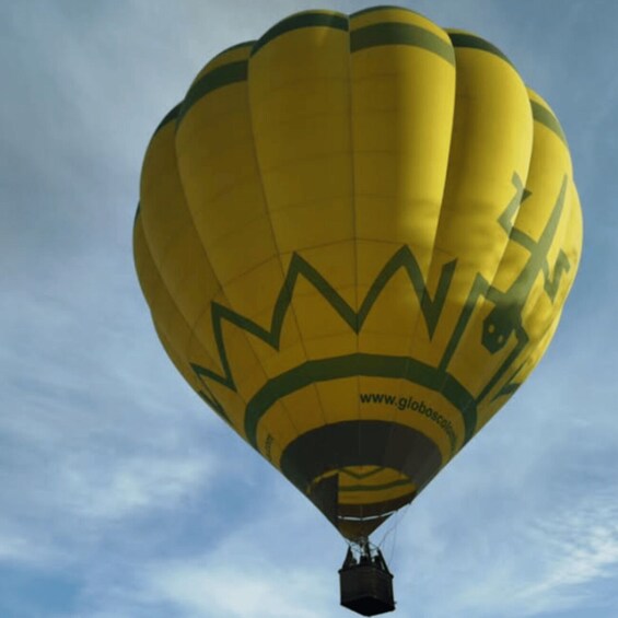 A yellow hot air balloon with a website URL and a logo. 3
