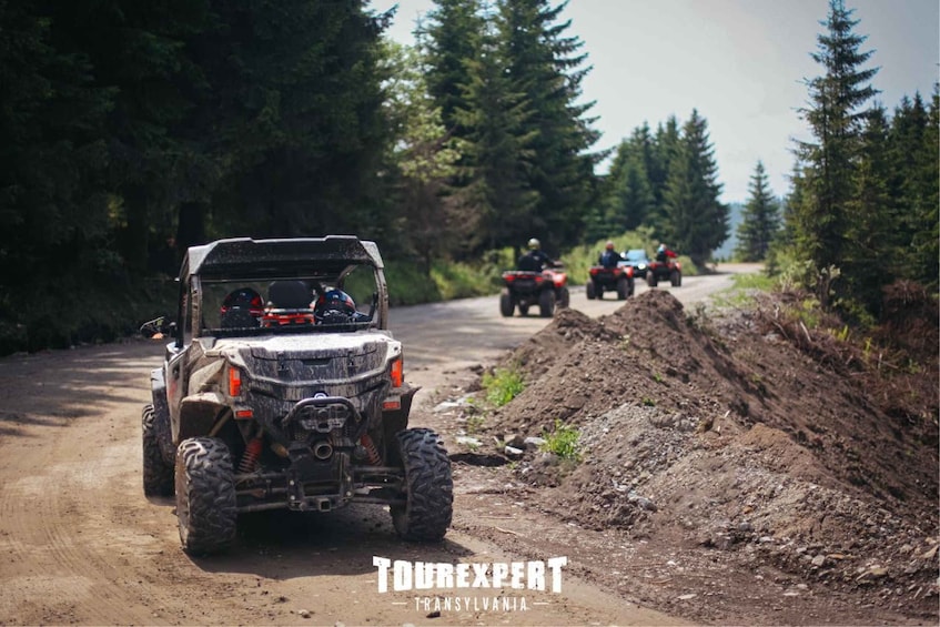 Off-road vehicles on a dirt road surrounded by trees. 3