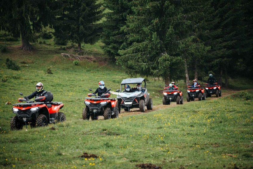 A group of people riding ATVs on a grassy path surrounded by trees. 2