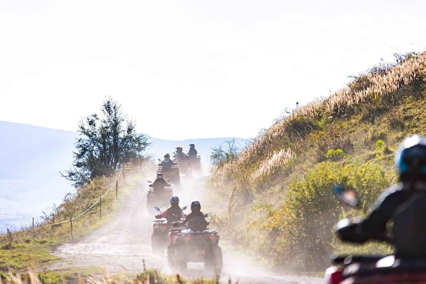 A group of people riding atv's on a dirt road surrounded by vegetation. 1
