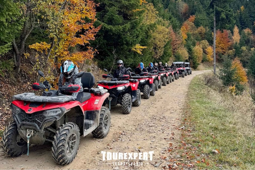 A line of red ATVs on a dirt path through a forest with autumn-colored trees. 1