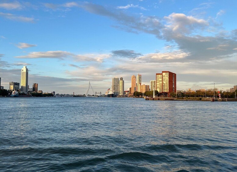A river with a city skyline in the background, including a distinctive bridge and high-rise buildings. 3