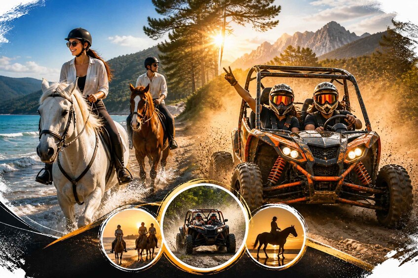 A coastal landscape with horses and an ATV. 1