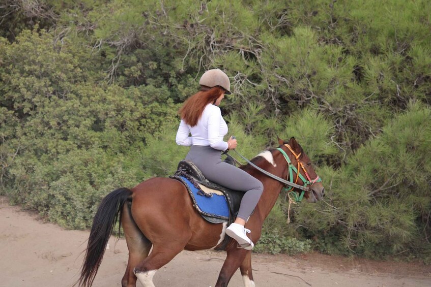 Una persona montando a caballo por un sendero de tierra con matorrales verdes al fondo. 3