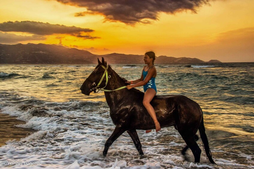 A person riding a horse on a beach at sunset. 5