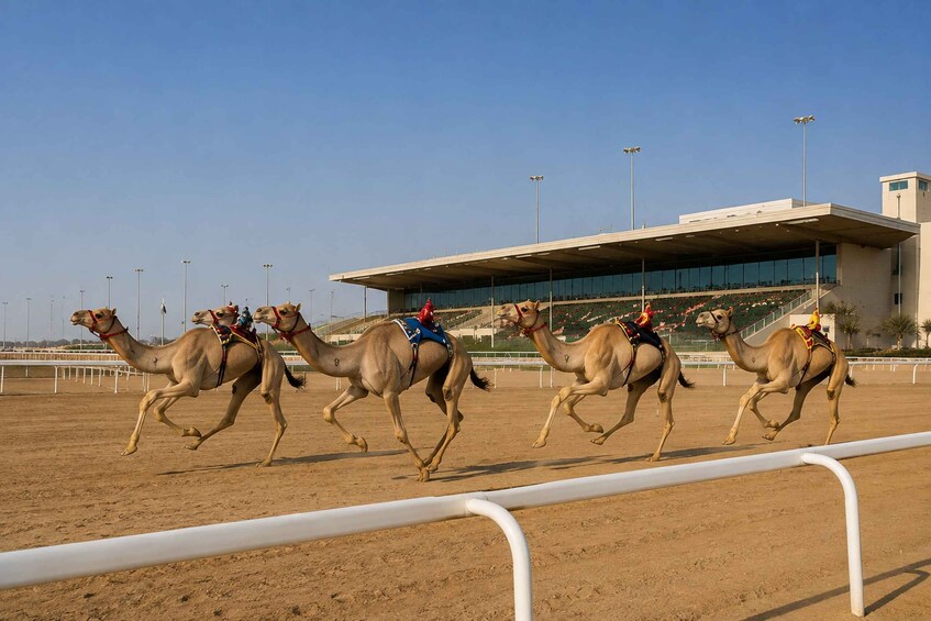 Picture 4 for Activity Doha: heritage, culture, shopping, and relaxation tour 4