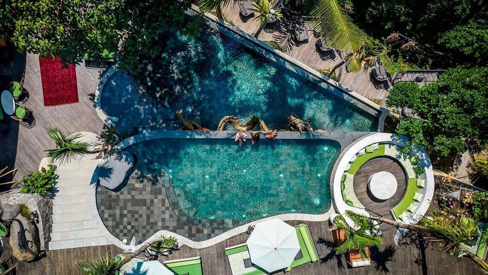 An aerial view of a swimming pool with a unique shape, surrounded by palm trees and lounge chairs. 1