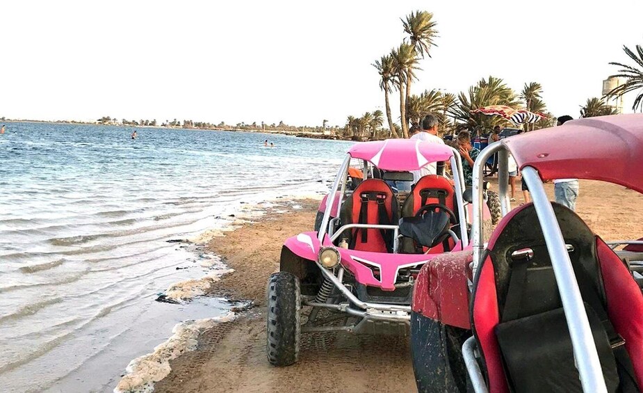 A pink off-road vehicle parked on a sandy beach with palm trees in the background. 1