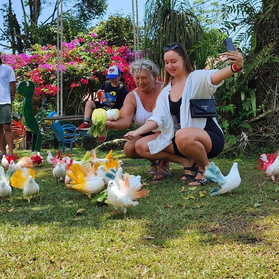 A group of people feeding pigeons in a park with colorful flowers and greenery in the background. 5