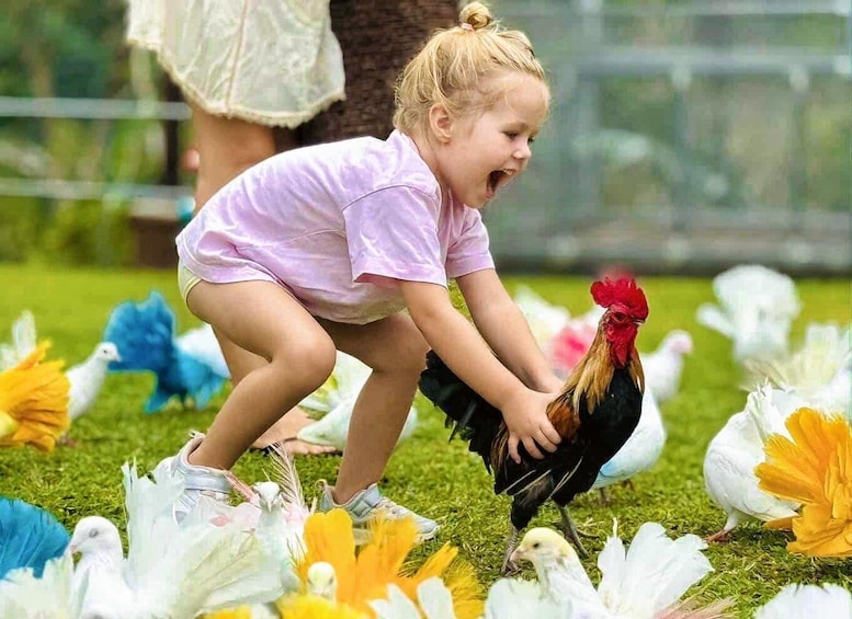A child crouching on grass surrounded by white and yellow birds. 3