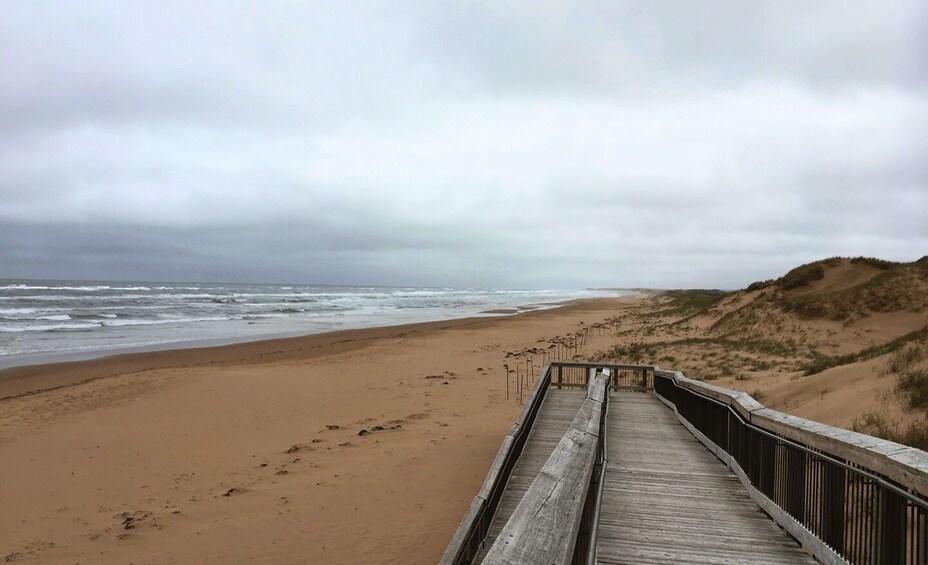 A wooden boardwalk along a sandy beach with dunes in the background. 3