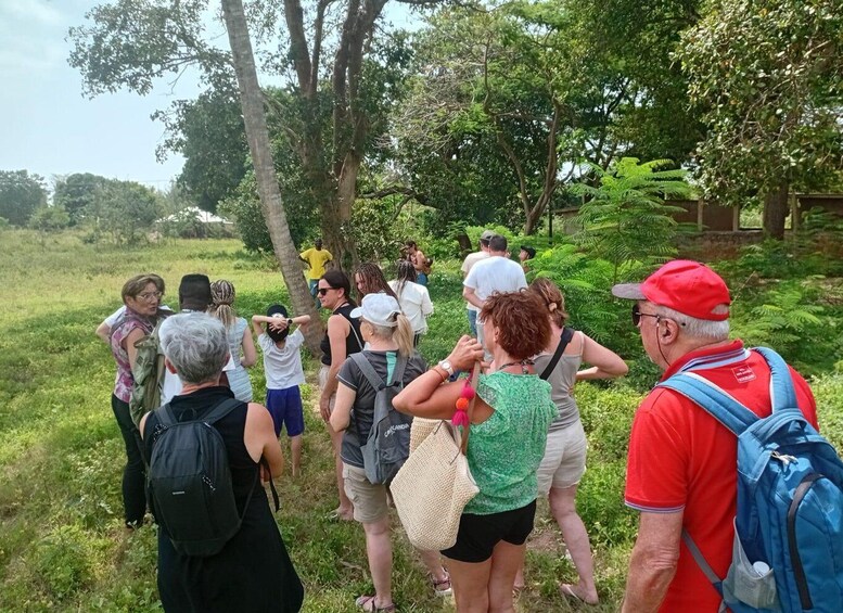 A group of people walking on a grassy path in a wooded area. 2