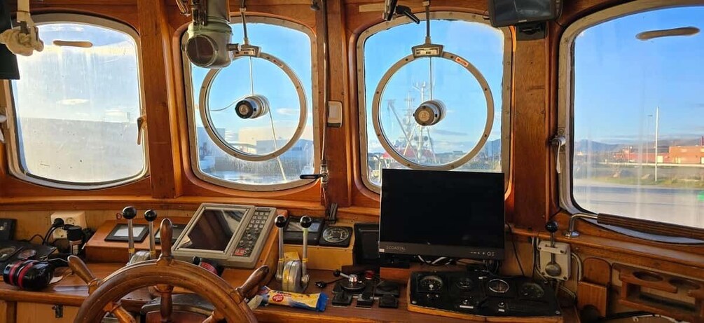 Picture 18 for Activity Stø: Arctic Wildlife Safari with Whales, Seabirds & Seals 4