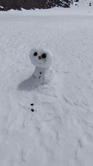 A snowman with a hat and buttons, standing in a snowy field. 1