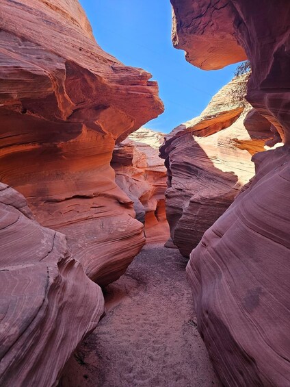 A narrow canyon with layered red rock formations. 3