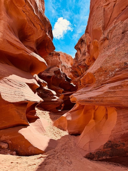 A narrow canyon with smooth red rock walls and a clear blue sky. 1