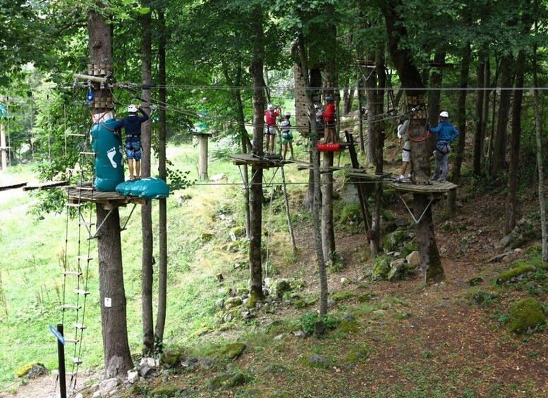 An outdoor ropes course with participants on elevated platforms. 4