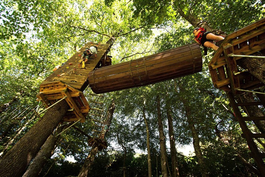 A wooden bridge in a forest with people walking across it. 5