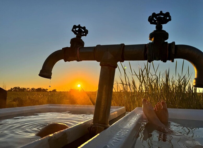 Charlotte Plains: Artesian Bathing Experience 1