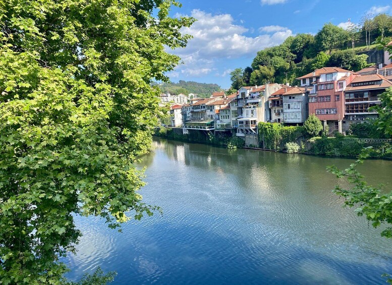 A river with buildings along its banks, surrounded by greenery. 5