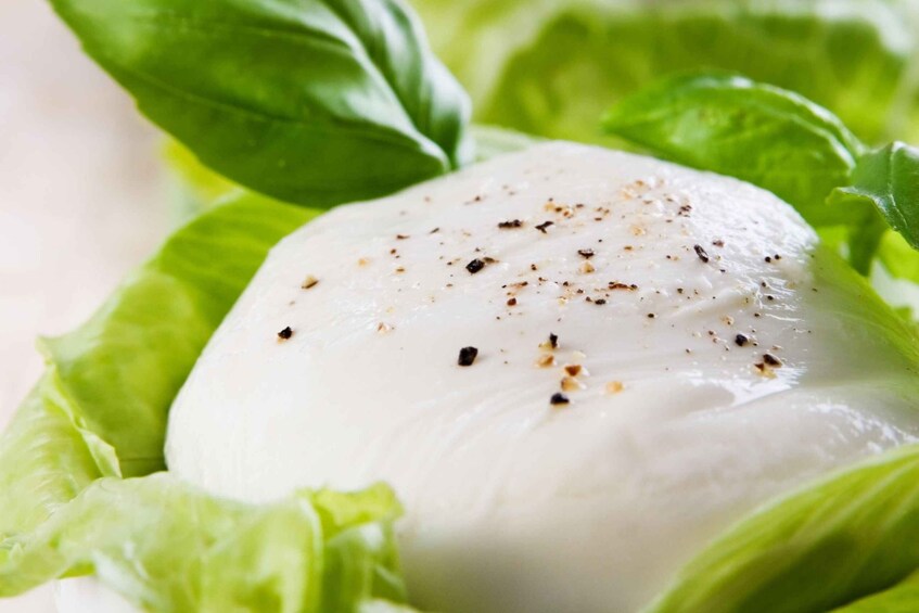 A round white cheese on lettuce with black pepper. 5