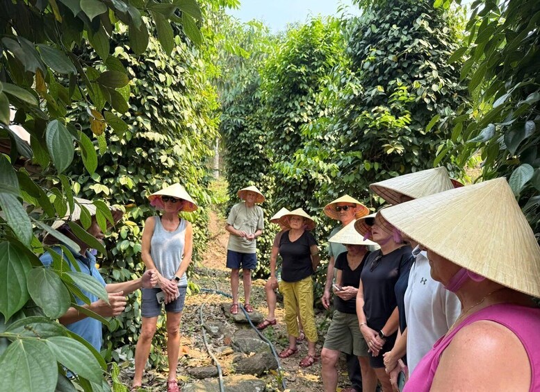 A group of people in a garden wearing conical hats, surrounded by lush greenery. 3