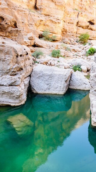 Picture 6 for Activity Full Day Group Tour in Wadi Shab 5