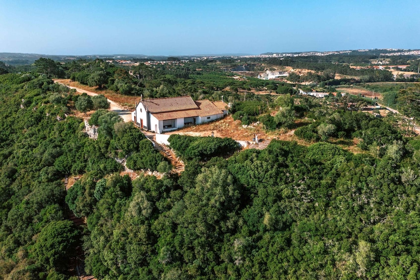 A white church with a red roof surrounded by dense forest and a clear sky. 3