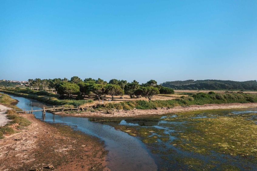 A river meandering through a landscape with trees and a distant hill. 2