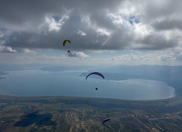 Paragliders flying over a coastal landscape with a large body of water and distant mountains. 5