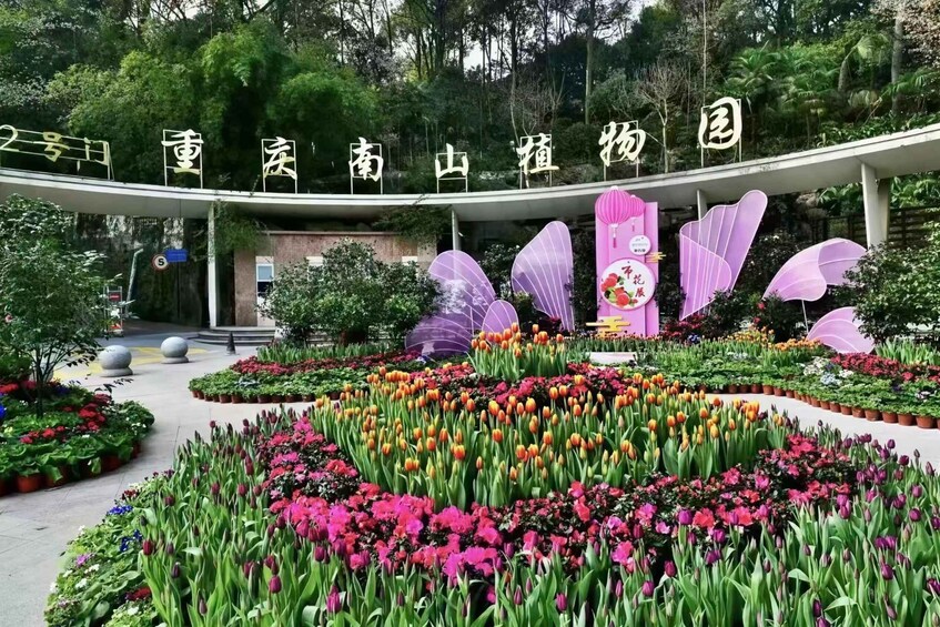 A garden with a variety of flowers and a sign with Chinese characters. 1